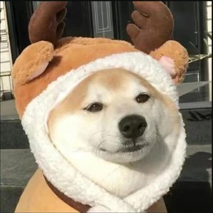 鮑磊资料,鮑磊最新歌曲,鮑磊MV视频,鮑磊音乐专辑,鮑磊好听的歌