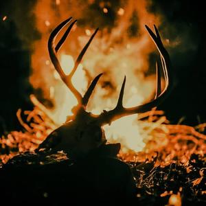 Katabasis资料,Katabasis最新歌曲,KatabasisMV视频,Katabasis音乐专辑,Katabasis好听的歌