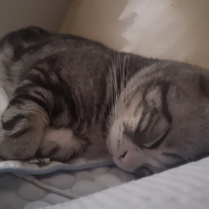 宫子正资料,宫子正最新歌曲,宫子正MV视频,宫子正音乐专辑,宫子正好听的歌