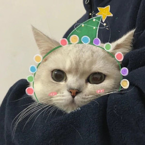 言憨憨资料,言憨憨最新歌曲,言憨憨MV视频,言憨憨音乐专辑,言憨憨好听的歌