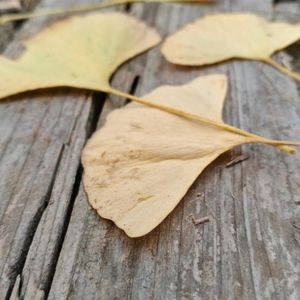 TLVIP资料,TLVIP最新歌曲,TLVIPMV视频,TLVIP音乐专辑,TLVIP好听的歌