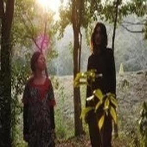 Baobab资料,Baobab最新歌曲,BaobabMV视频,Baobab音乐专辑,Baobab好听的歌