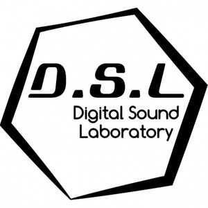 D.S.L