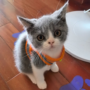 Rock资料,Rock最新歌曲,RockMV视频,Rock音乐专辑,Rock好听的歌