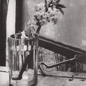 Ys蓝珊资料,Ys蓝珊最新歌曲,Ys蓝珊MV视频,Ys蓝珊音乐专辑,Ys蓝珊好听的歌