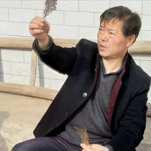 云华山人资料,云华山人最新歌曲,云华山人MV视频,云华山人音乐专辑,云华山人好听的歌