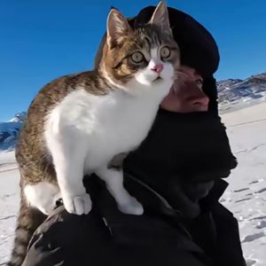 keridy资料,keridy最新歌曲,keridyMV视频,keridy音乐专辑,keridy好听的歌