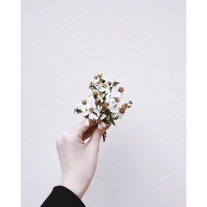 胡永东资料,胡永东最新歌曲,胡永东MV视频,胡永东音乐专辑,胡永东好听的歌