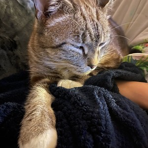 Lussia资料,Lussia最新歌曲,LussiaMV视频,Lussia音乐专辑,Lussia好听的歌