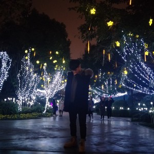 韩清羽