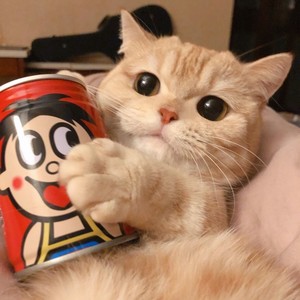 今天想喝旺仔资料,今天想喝旺仔最新歌曲,今天想喝旺仔MV视频,今天想喝旺仔音乐专辑,今天想喝旺仔好听的歌