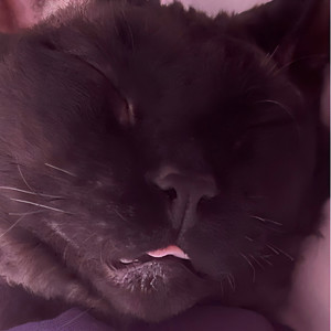 快速打印机资料,快速打印机最新歌曲,快速打印机MV视频,快速打印机音乐专辑,快速打印机好听的歌