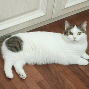 Bleedy资料,Bleedy最新歌曲,BleedyMV视频,Bleedy音乐专辑,Bleedy好听的歌