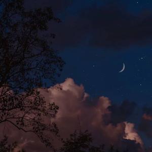 苩忑资料,苩忑最新歌曲,苩忑MV视频,苩忑音乐专辑,苩忑好听的歌