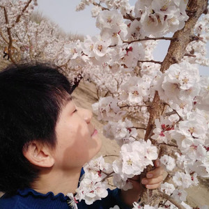 与你同行资料,与你同行最新歌曲,与你同行MV视频,与你同行音乐专辑,与你同行好听的歌