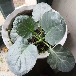 范壹侠资料,范壹侠最新歌曲,范壹侠MV视频,范壹侠音乐专辑,范壹侠好听的歌