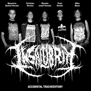 Insalubrity资料,Insalubrity最新歌曲,InsalubrityMV视频,Insalubrity音乐专辑,Insalubrity好听的歌