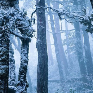 D x G资料,D x G最新歌曲,D x GMV视频,D x G音乐专辑,D x G好听的歌