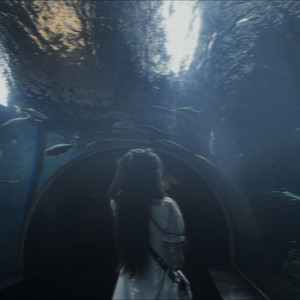 仙女九资料,仙女九最新歌曲,仙女九MV视频,仙女九音乐专辑,仙女九好听的歌