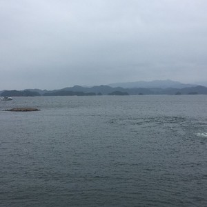 扬资料,扬最新歌曲,扬MV视频,扬音乐专辑,扬好听的歌