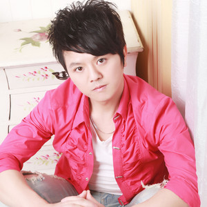 故事已经停止--小刘欢