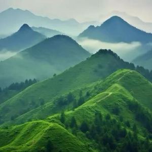 浮云游子意资料,浮云游子意最新歌曲,浮云游子意MV视频,浮云游子意音乐专辑,浮云游子意好听的歌