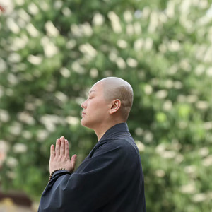 善乐法师资料,善乐法师最新歌曲,善乐法师MV视频,善乐法师音乐专辑,善乐法师好听的歌