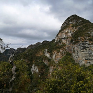 罗中才资料,罗中才最新歌曲,罗中才MV视频,罗中才音乐专辑,罗中才好听的歌