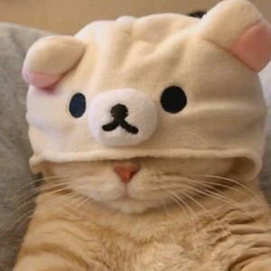 不吃鱼的猫资料,不吃鱼的猫最新歌曲,不吃鱼的猫MV视频,不吃鱼的猫音乐专辑,不吃鱼的猫好听的歌