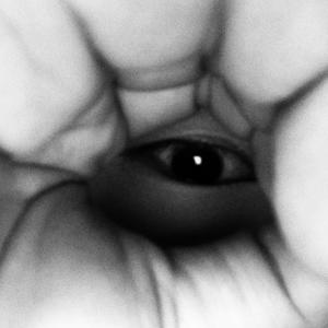 Jash资料,Jash最新歌曲,JashMV视频,Jash音乐专辑,Jash好听的歌