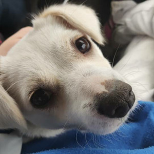 陈露霖资料,陈露霖最新歌曲,陈露霖MV视频,陈露霖音乐专辑,陈露霖好听的歌