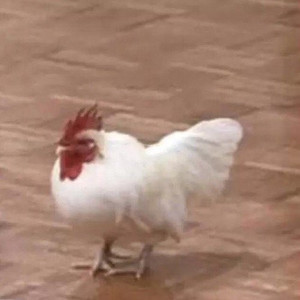 三秋十一资料,三秋十一最新歌曲,三秋十一MV视频,三秋十一音乐专辑,三秋十一好听的歌