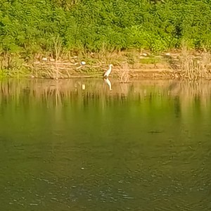 一盒奶酪资料,一盒奶酪最新歌曲,一盒奶酪MV视频,一盒奶酪音乐专辑,一盒奶酪好听的歌