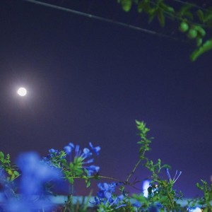 温开水资料,温开水最新歌曲,温开水MV视频,温开水音乐专辑,温开水好听的歌