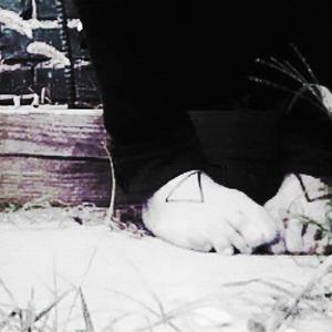 Tri Angles资料,Tri Angles最新歌曲,Tri AnglesMV视频,Tri Angles音乐专辑,Tri Angles好听的歌