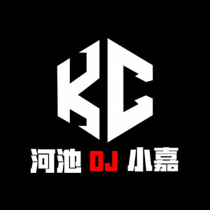 DJ xiaojia