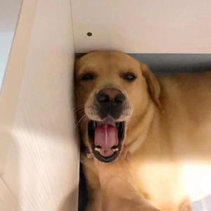 $HAD资料,$HAD最新歌曲,$HADMV视频,$HAD音乐专辑,$HAD好听的歌