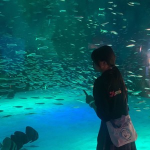 霖麓lvrxv资料,霖麓lvrxv最新歌曲,霖麓lvrxvMV视频,霖麓lvrxv音乐专辑,霖麓lvrxv好听的歌