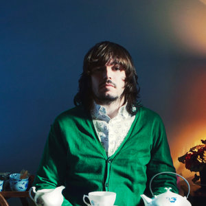 Bibio