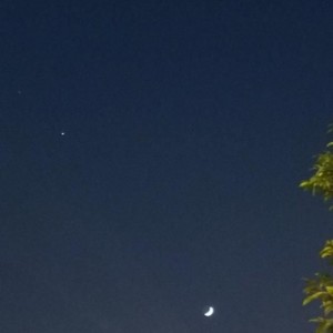 星月姐姐资料,星月姐姐最新歌曲,星月姐姐MV视频,星月姐姐音乐专辑,星月姐姐好听的歌