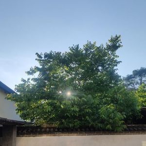 赵小帅资料,赵小帅最新歌曲,赵小帅MV视频,赵小帅音乐专辑,赵小帅好听的歌