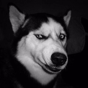 简单r资料,简单r最新歌曲,简单rMV视频,简单r音乐专辑,简单r好听的歌