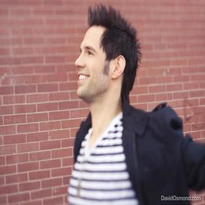 David Osmond资料,David Osmond最新歌曲,David OsmondMV视频,David Osmond音乐专辑,David Osmond好听的歌