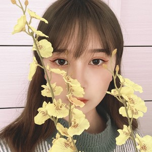 小鲨鱼资料,小鲨鱼最新歌曲,小鲨鱼MV视频,小鲨鱼音乐专辑,小鲨鱼好听的歌