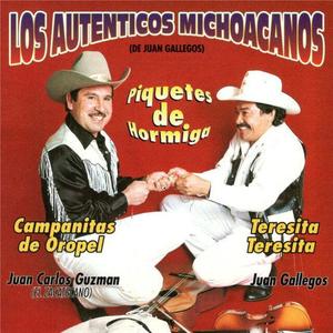 Los Autenticos Michoacanos