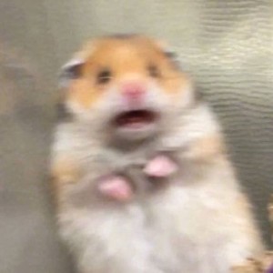 阿航资料,阿航最新歌曲,阿航MV视频,阿航音乐专辑,阿航好听的歌