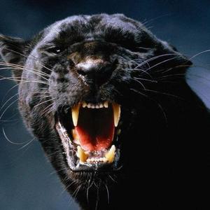 囍唐XT资料,囍唐XT最新歌曲,囍唐XTMV视频,囍唐XT音乐专辑,囍唐XT好听的歌