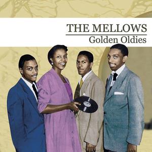 The Mellows资料,The Mellows最新歌曲,The MellowsMV视频,The Mellows音乐专辑,The Mellows好听的歌