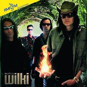 Wilki