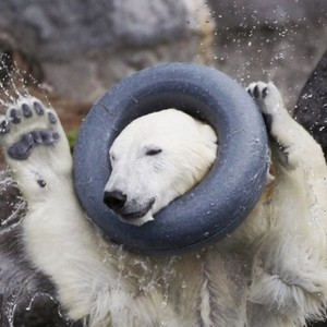 綾葉资料,綾葉最新歌曲,綾葉MV视频,綾葉音乐专辑,綾葉好听的歌